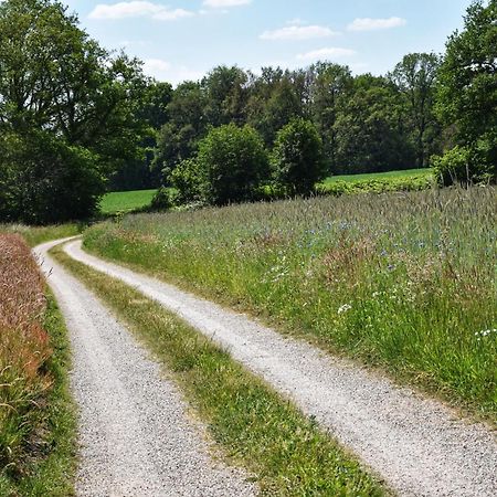 'T Buitenverblijf Erve Punte Losser Esterno foto