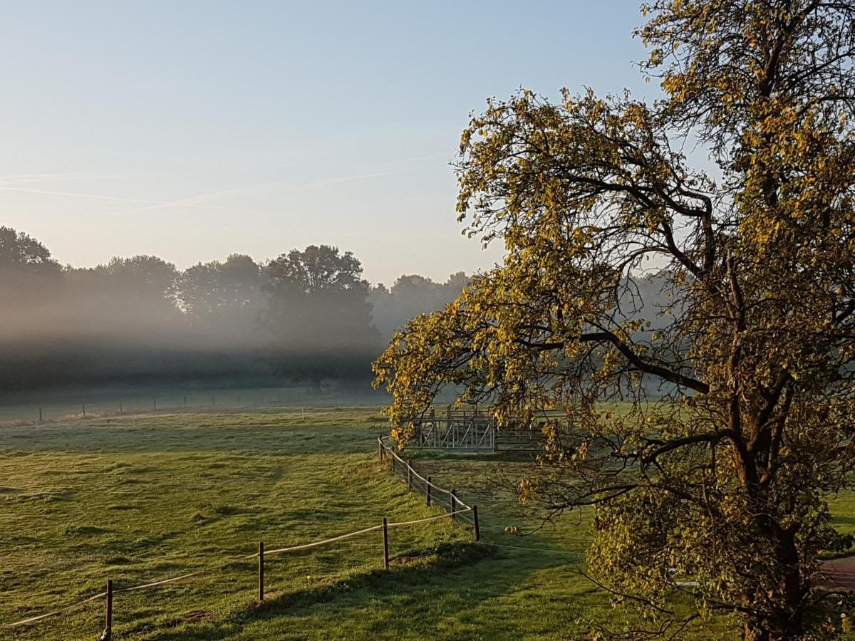 'T Buitenverblijf Erve Punte Losser Esterno foto