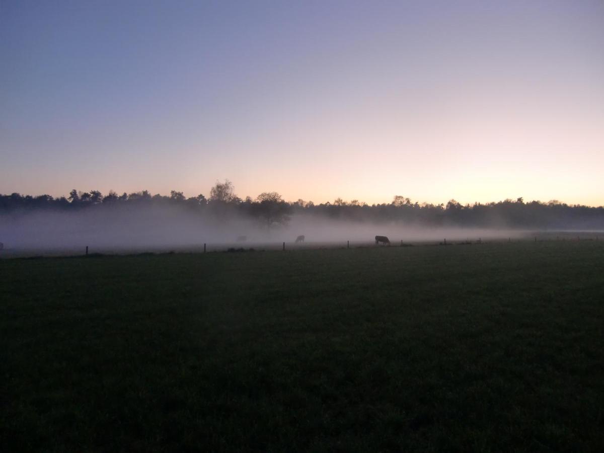 'T Buitenverblijf Erve Punte Losser Esterno foto