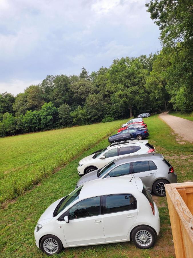 'T Buitenverblijf Erve Punte Losser Esterno foto