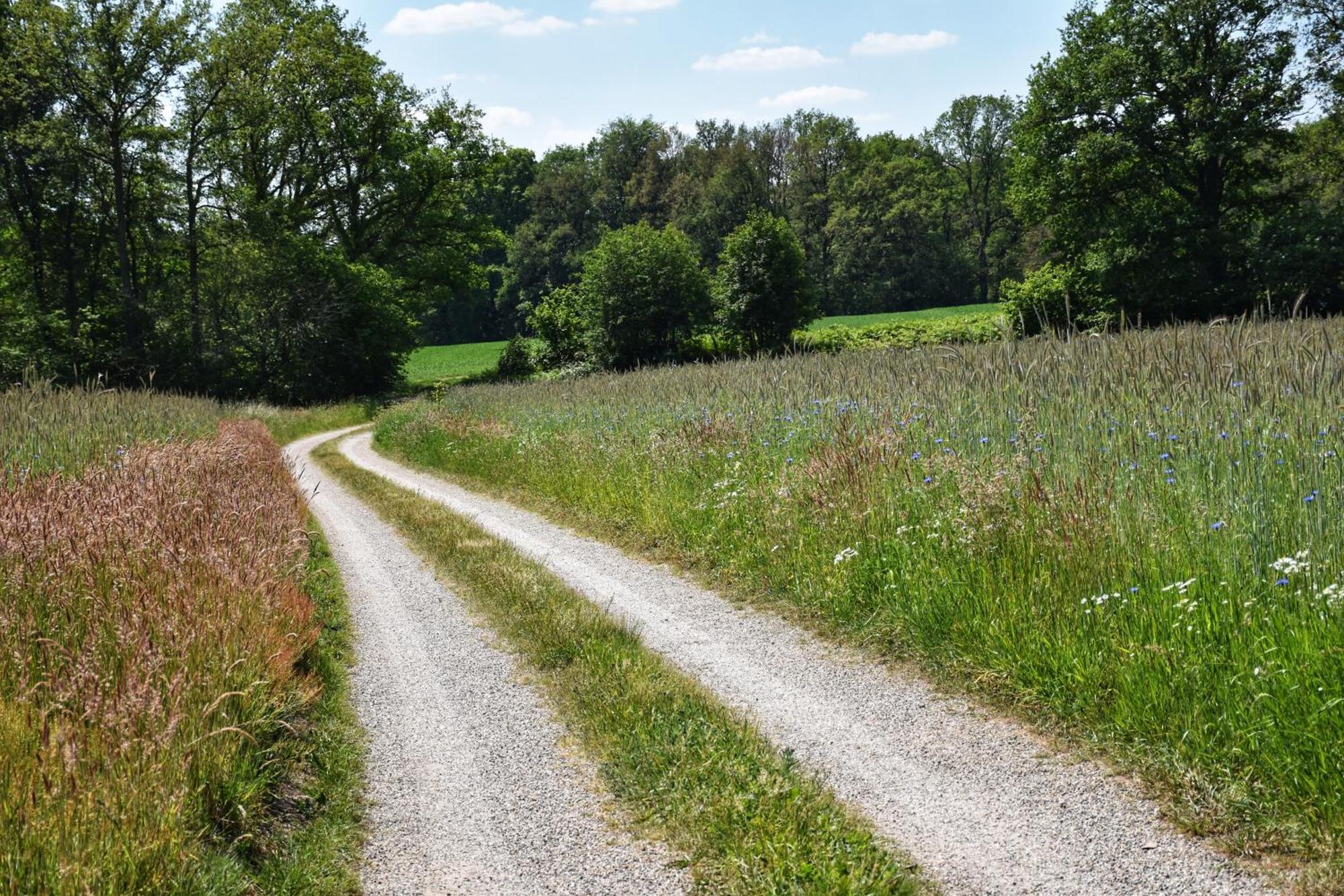'T Buitenverblijf Erve Punte Losser Esterno foto