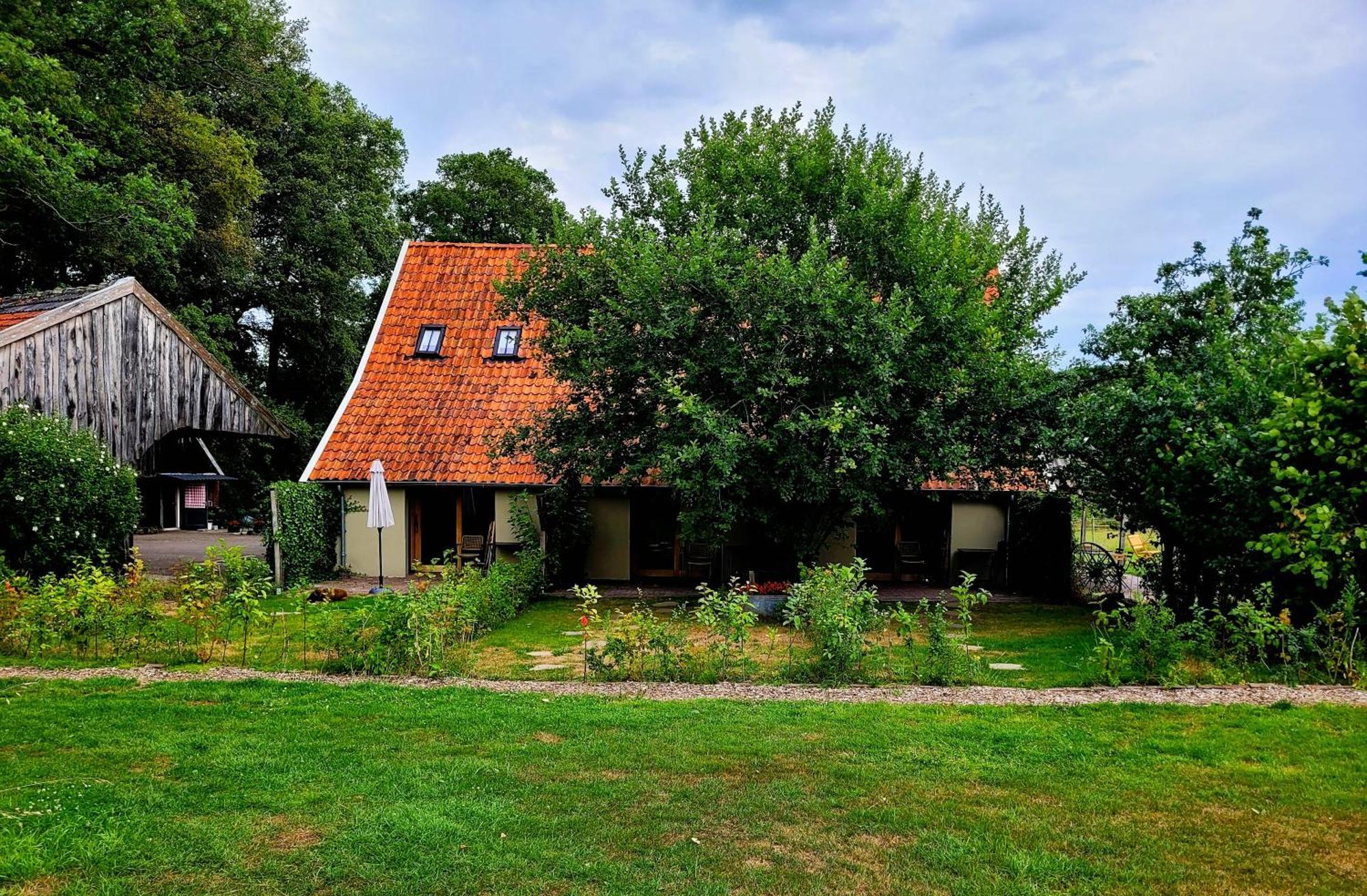 'T Buitenverblijf Erve Punte Losser Esterno foto